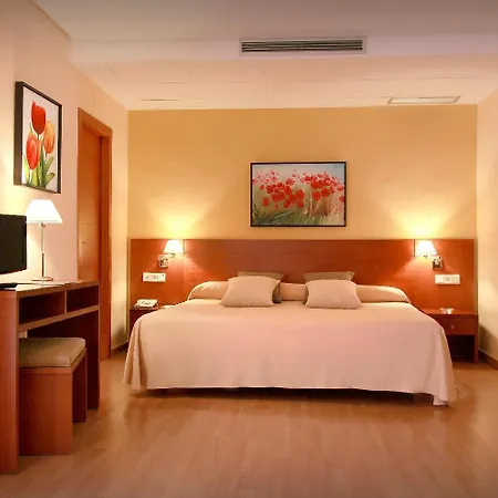 Trh Ciudad De Hotel